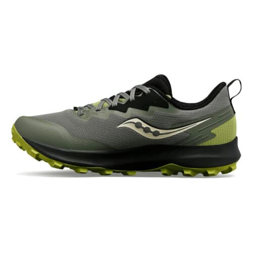 Peregrine 14 GTX Trail Running Shoe Men