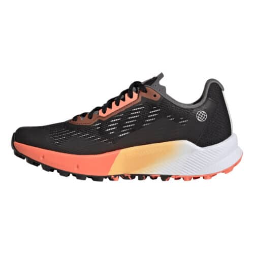 Terrex Agravic Flow 2 GTX Trail Running Shoe Women