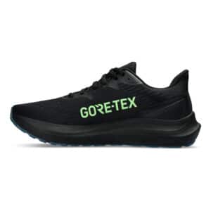 GT-2000 12 GTX Stability Running Shoe Men