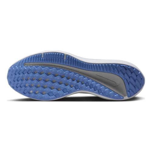 Winflo 10 Neutral Running Shoe Women